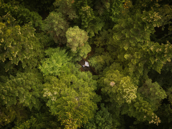 fotograf ślubny Tarnów, Tarnów fotografia ślubna sesja w lesie